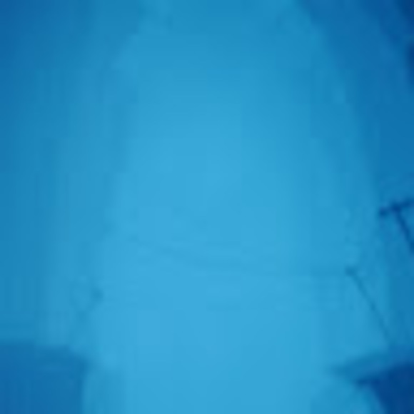 Meet your Posher, Layne - Picture 1 of 1